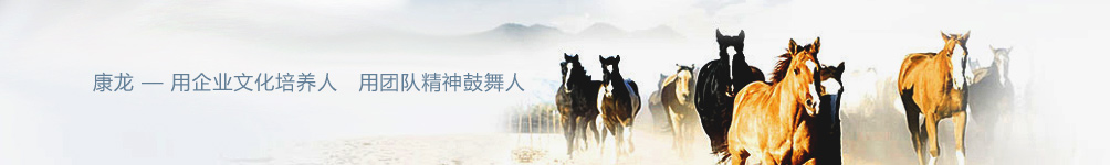 康龙文化